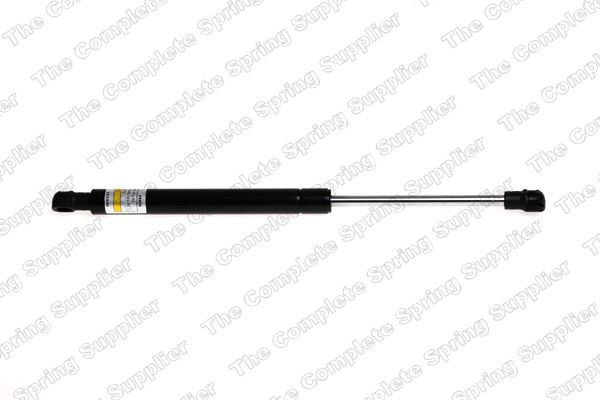 Gaasivedru, pagasi-/veoruum