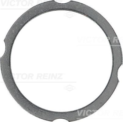 Garnitura, chiulasa VICTOR REINZ 61-38260-00