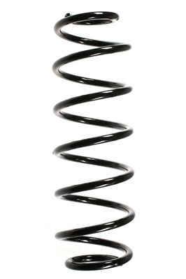 Arc spiral SPIDAN 55236