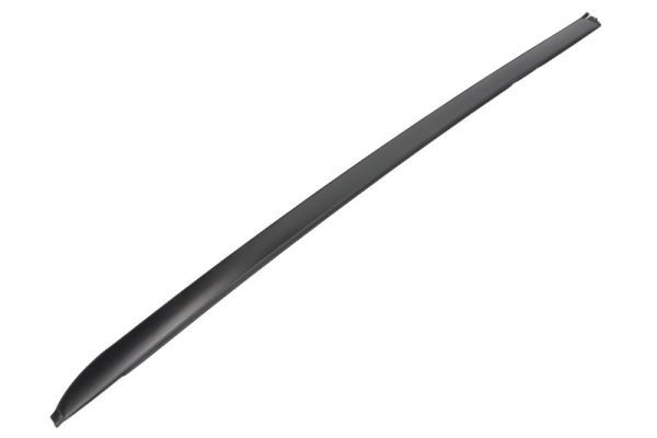 Elemente decorative/protectie, parbriz BLIC 5703-04-6037092Q