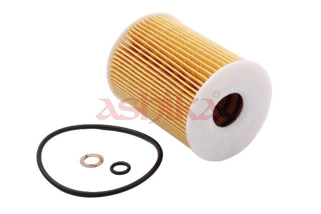 ASHIKA 10ECO082