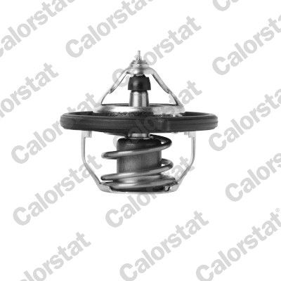 Termostat, środek chłodzący CALORSTAT BY VERNET TH7392.88J
