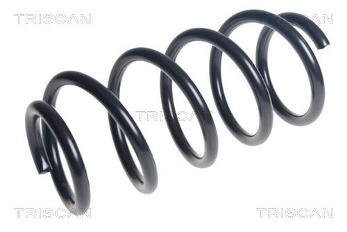 Arc spiral TRISCAN 8750 29532