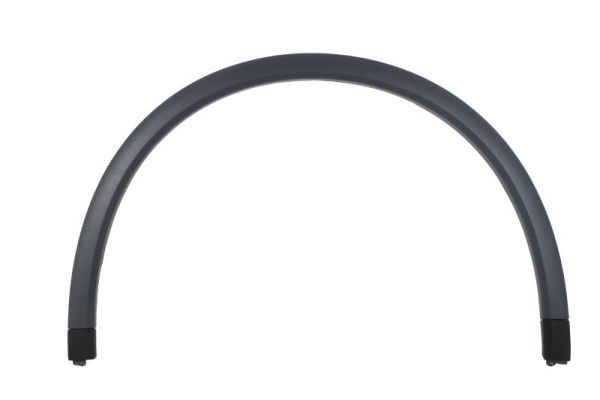 Ehis-/kaitseliist,Poritiib