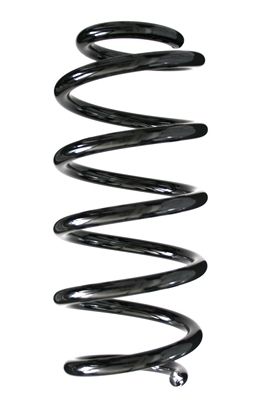 Arc spiral SPIDAN 85788