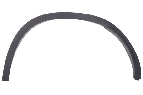 Ehis-/kaitseliist,Poritiib