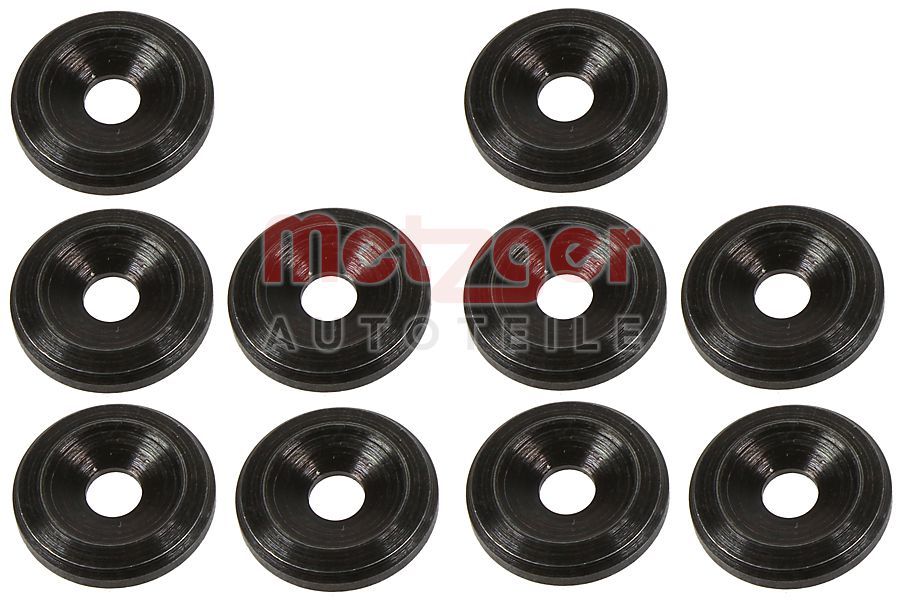 Kaitseseib,sissepritsesüsteem