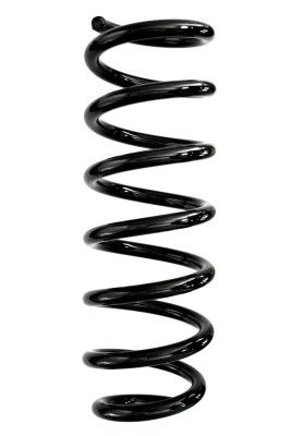 Arc spiral SPIDAN 87978