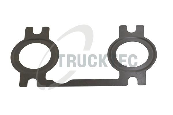 Blīve, Izplūdes kolektors