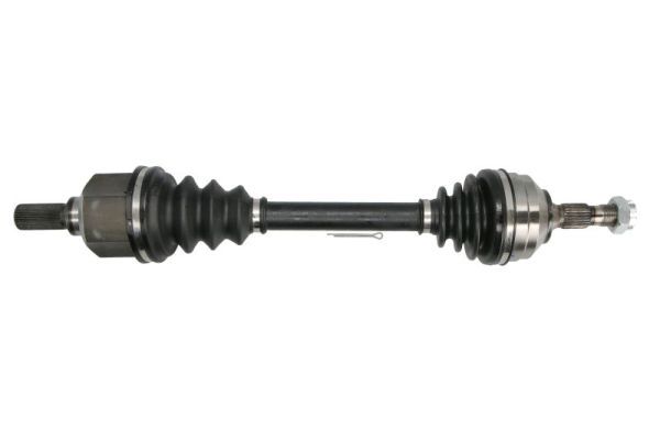 Planetara PASCAL G2P062PC