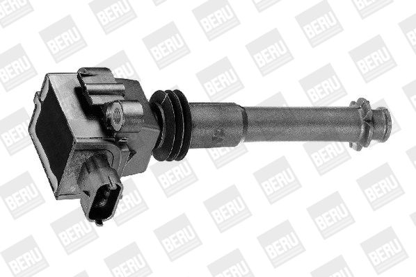 Levně Zapalovací cívka BorgWarner (BERU) ZS311