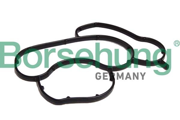 E-shop Tesnenie obalu olejového filtra BORSEHUNG B12529