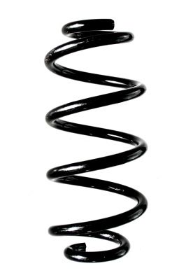 Arc spiral SPIDAN 88370