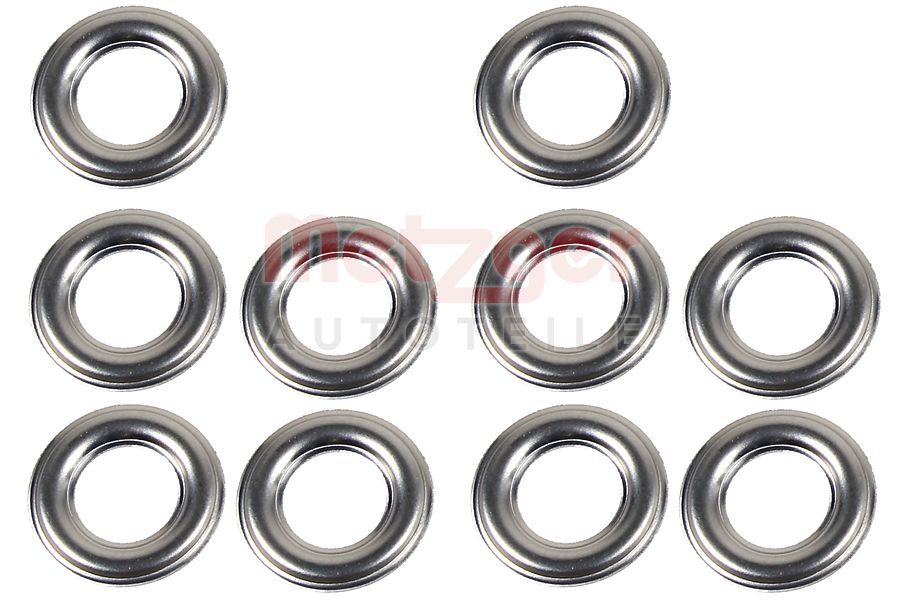 Kaitseseib,sissepritsesüsteem