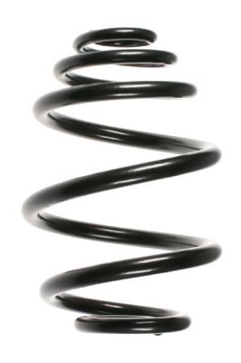 Arc spiral SPIDAN 55957