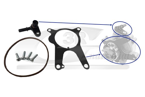 Set reparatie, pompa vacuum (Siste frana) 3RG 74902