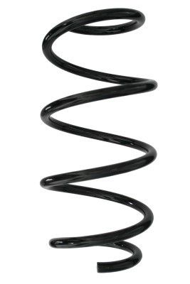 Arc spiral SPIDAN 87887