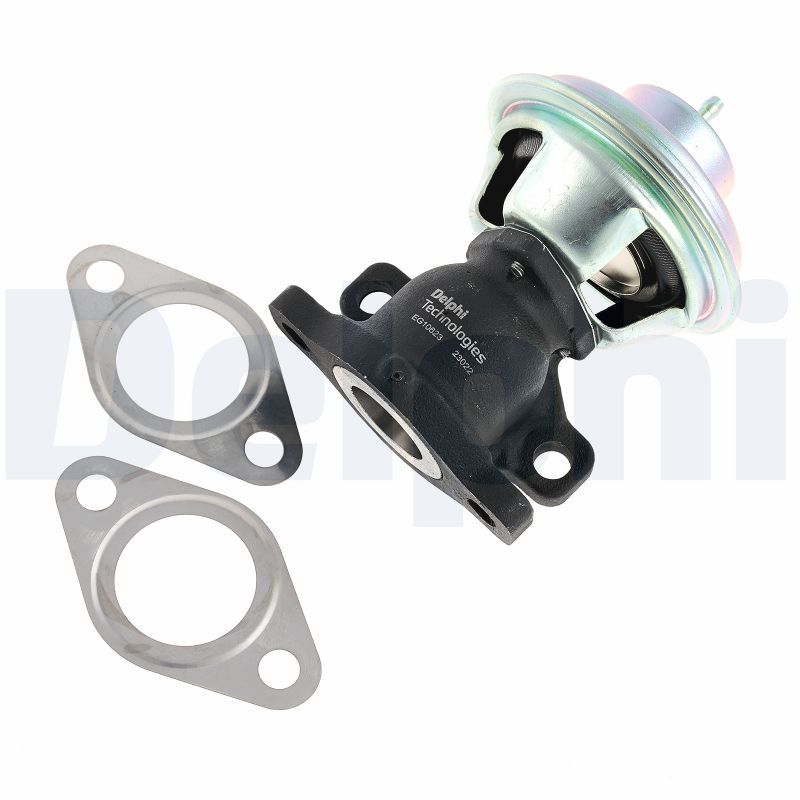Zawór AGR DELPHI EG10623-12B1