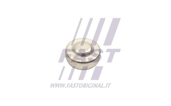 Uszczelnienie przeciwmrozowe FAST FT50801