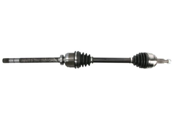 Planetara PASCAL G2R096PC