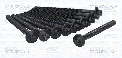 Zestaw śrub głowicy cylindrów TRISCAN 98-6012