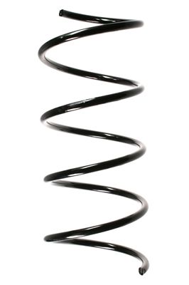 Arc spiral SPIDAN 85192