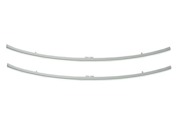 Ehis-/kaitseliist,Grill