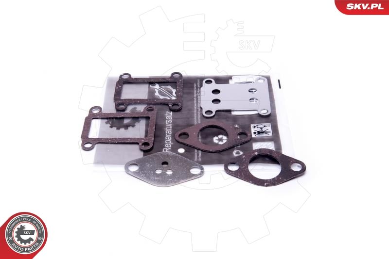 Set de reparație, supapă AGR ESEN SKV 14SKV528