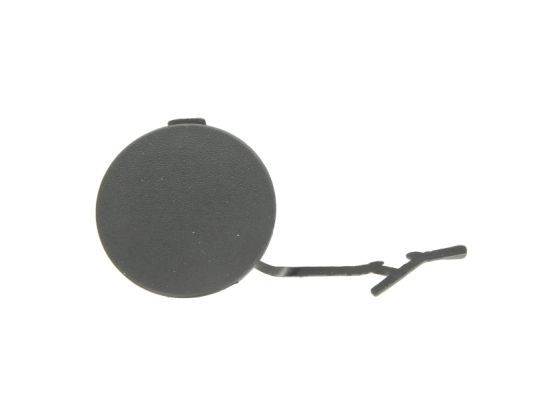 acoperire tampon,sistem de remorcare BLIC 5513-00-3120920P