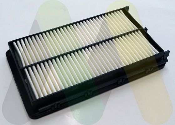 Filtru aer MOTAQUIP LVFA1653