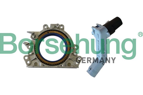 Borsehung B12178