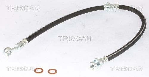 Furtun frana TRISCAN 8150 14166