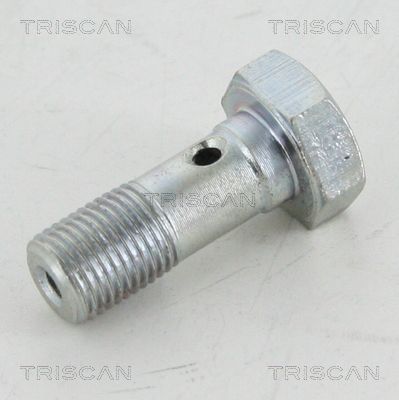 Surub gaurit TRISCAN 8105 3254