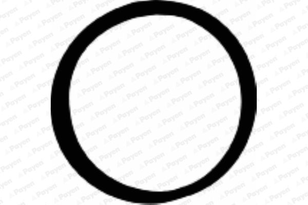 Uszczelka, obudowa kolektora dolotowego PAYEN JD5107