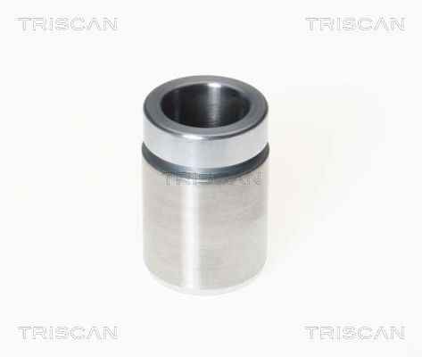 Tłoczek, zacisk hamulca TRISCAN 8170 233308