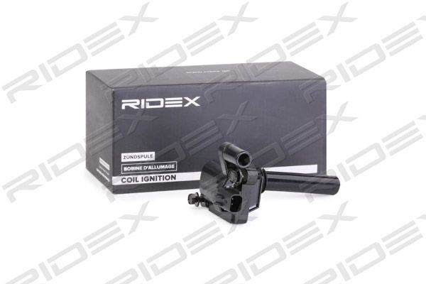 Cewka zapłonowa RIDEX 689C0312