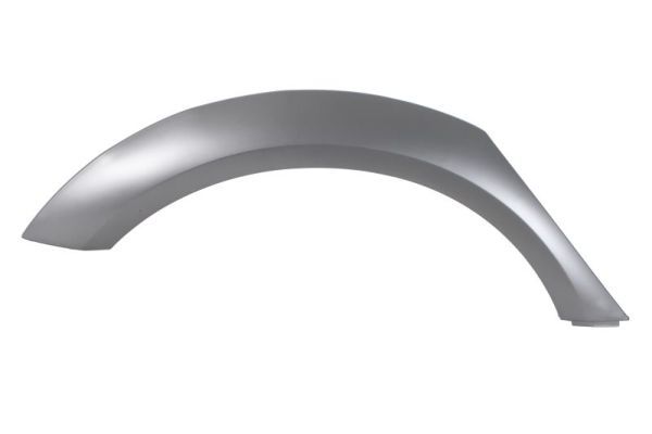 Ehis-/kaitseliist,Poritiib