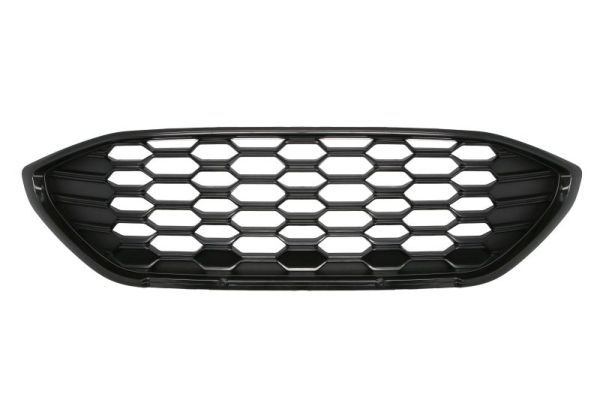 Grila radiator BLIC 6502-07-2595991P