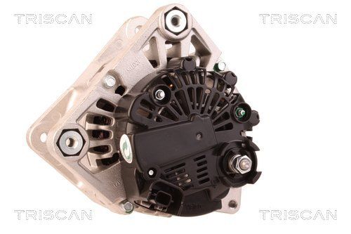Alternator TRISCAN 831025006