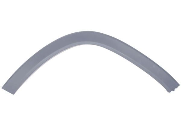 Ehis-/kaitseliist,Poritiib