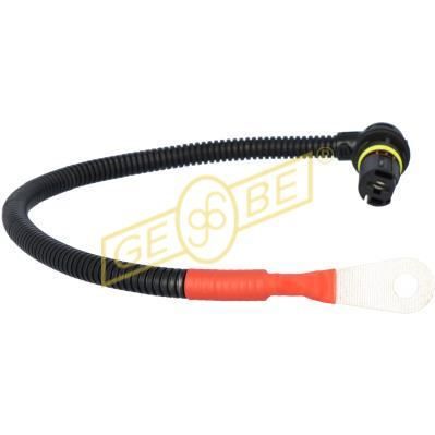 GEBE 996601