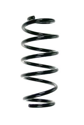 Arc spiral SPIDAN 85822