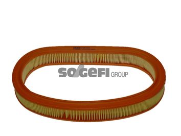 Filtr powietrza FRAM CA5160