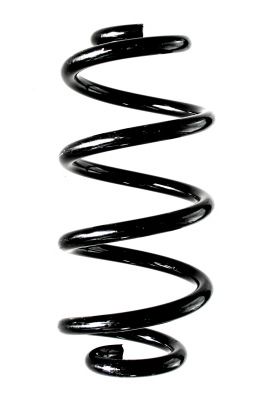 Arc spiral SPIDAN 88368