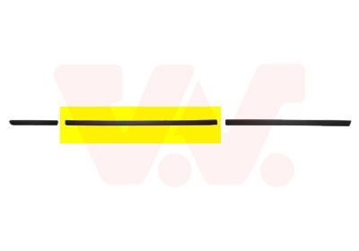 Elemente decorative/protectie, portiera VAN WEZEL 0646424