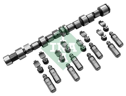Set ax cu came Schaeffler INA 428 0043 30