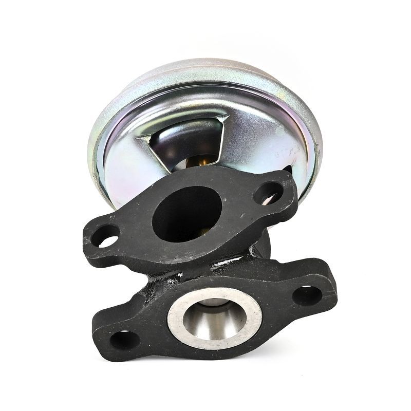 Izpl. gāzu recirkulācijas vārsts