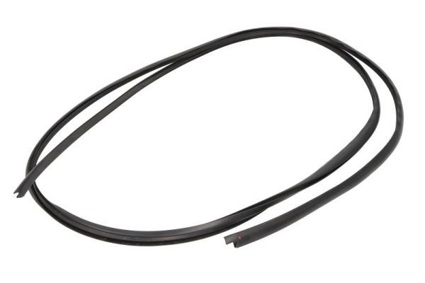 Elemente decorative/protectie, parbriz BLIC 5703-04-6037480Q