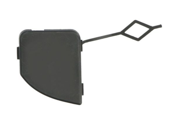 acoperire tampon,sistem de remorcare BLIC 5513-00-5545920P