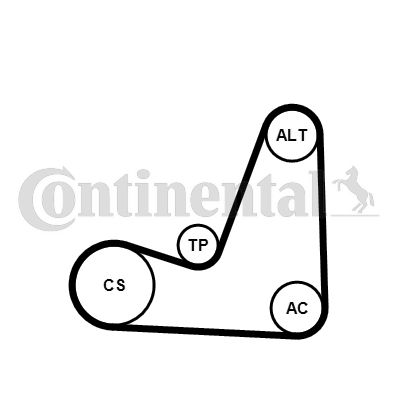 Zestaw paska klinowego wielorowkowego CONTINENTAL CTAM 5PK1200K1